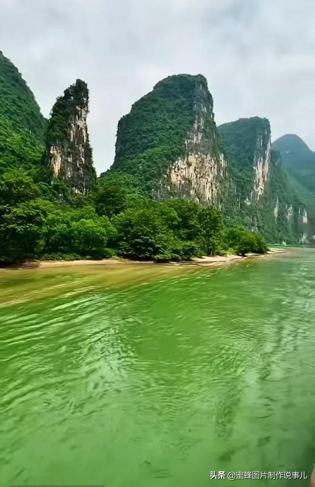 病毒大作战